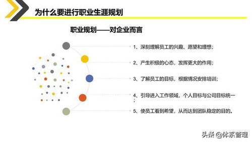 体系管理下的精品员工职业生涯规划与规划设计管理